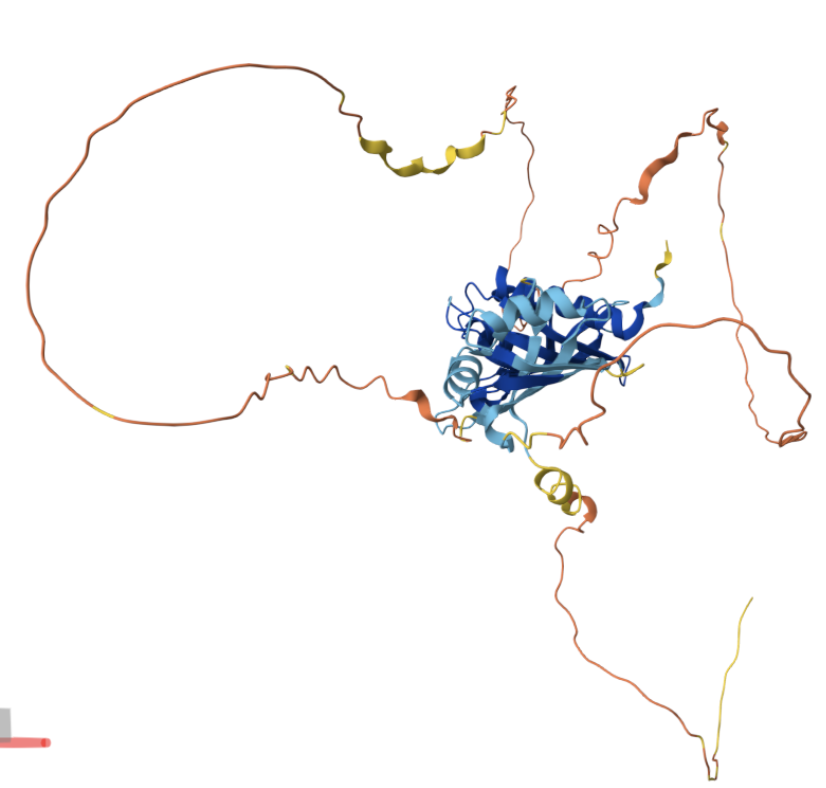 Protein structure visualization